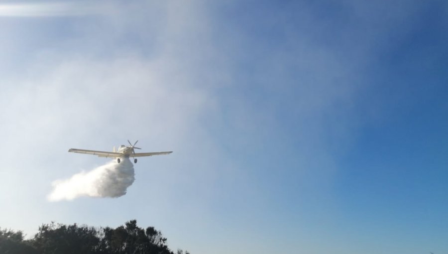 Controlan el incendio forestal en Dalcahue y decretan Alerta Amarilla para la comuna