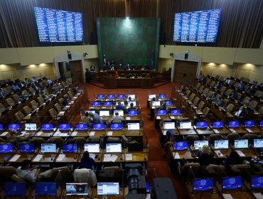 Cámara de Diputados envía a comisión mixta proyecto que crea un sistema de garantías a los derechos de la niñez