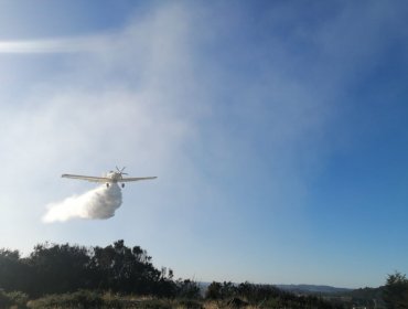 Controlan el incendio forestal en Dalcahue y decretan Alerta Amarilla para la comuna