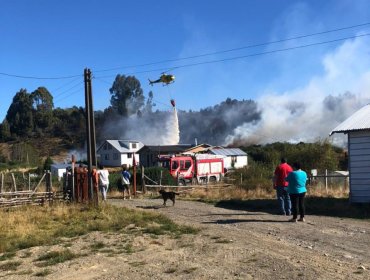 Declaran Alerta Roja para la comuna de Dalcahue por incendio forestal cercano a sectores poblados