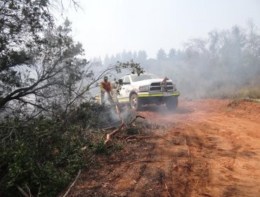 Conaf reconoció trabajo de brigadas de cuatro regiones para controlar incendios forestales en Valparaíso