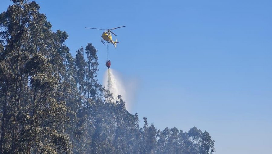 Declaran Alerta Roja para Valparaíso y Casablanca por incendio forestal en Reserva Lago Peñuelas