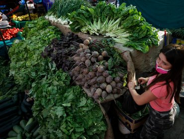 «La Feria en tu casa»: Revisa acá el listado de feriantes con despacho a domicilio