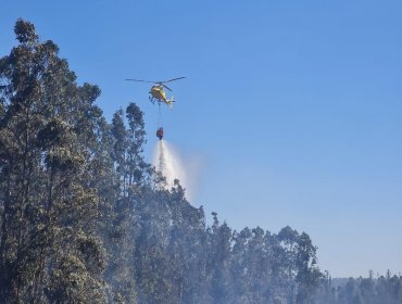 Declaran Alerta Roja para Valparaíso y Casablanca por incendio forestal en Reserva Lago Peñuelas