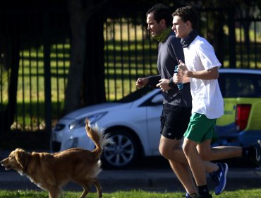 Paseo de mascotas: Gobierno reitera que se puede hacer en banda Elige Vivir Sano