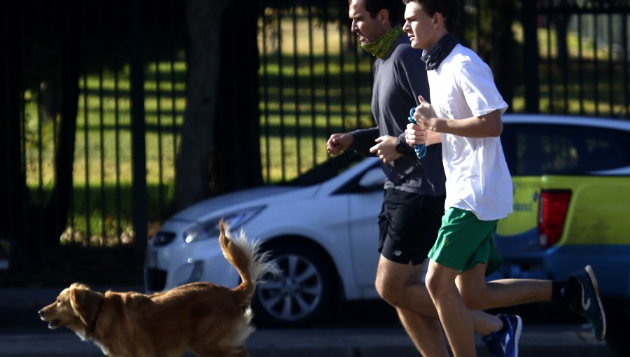 Paseo de mascotas: Gobierno reitera que se puede hacer en banda Elige Vivir Sano