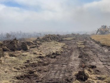 297 hectáreas consumió el incendio forestal en Natales: se mantiene la Alerta Amarilla para la comuna