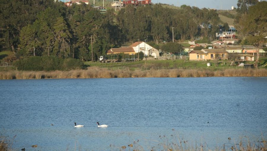 Conaf cierra el Santuario de la Naturaleza Laguna El Peral por cuarentena total en El Tabo