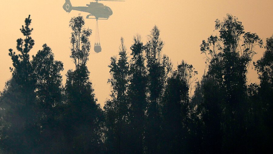 Declaran Alerta Amarilla para Antuco por incendio forestal que podría afectar al Parque Laguna del Laja