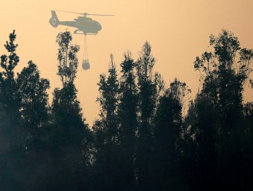 Declaran Alerta Amarilla para Antuco por incendio forestal que podría afectar al Parque Laguna del Laja