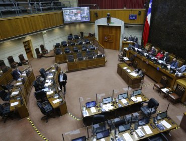 Postergación de elecciones y Bono Clase Media: Lo que se votará este domingo en el Senado