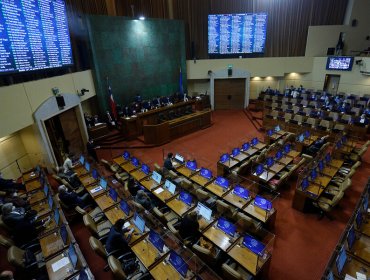 Cámara retoma proyecto que posterga las elecciones y que entrega ayudas a la clase media