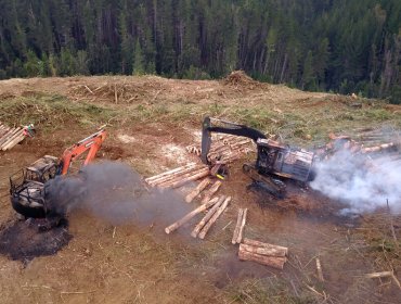 Al menos ocho maquinarias resultaron destruidas tras ataque incendiario en predio forestal de Toltén