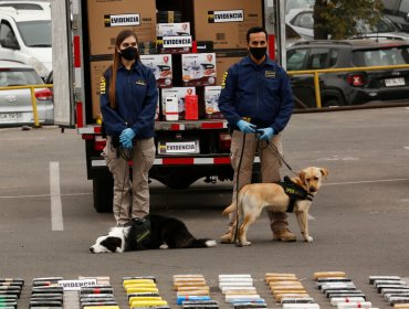 Desbaratan organización criminal que operaba en Iquique y enviaba droga a la región Metropolitana