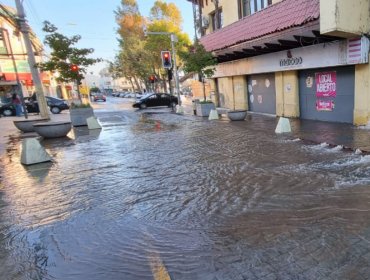 Rotura de matriz de agua potable genera estragos en el centro de Quillota