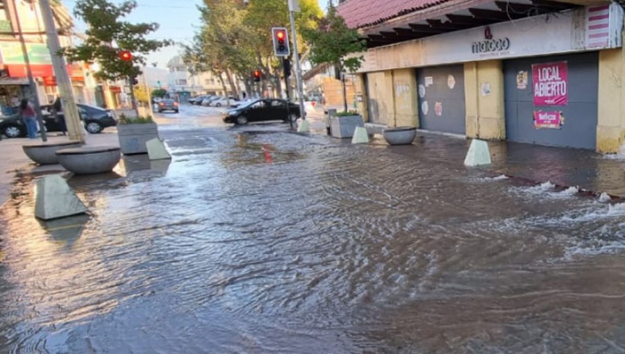 Rotura de matriz de agua potable genera estragos en el centro de Quillota