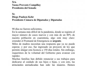 Diputados solicitan al Gobierno extender el postnatal de emergencia por la crisis derivada del Covid-19