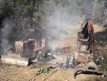 Nuevo ataque incendiario destruyó maquinarias en faena forestal de Cañete