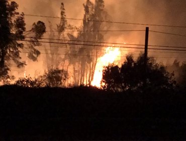 Incendio forestal de gran magnitud amenaza viviendas en sector de Llay Llay