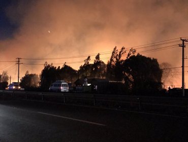 Declaran Alerta Amarilla para la comuna de Llay Llay por incendio forestal cercano a viviendas