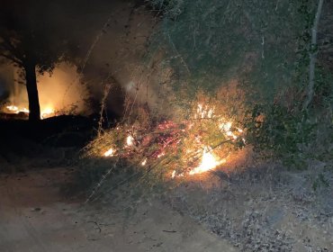 Incendio forestal afecta a la Reserva Lago Peñuelas: reportan al menos cinco focos