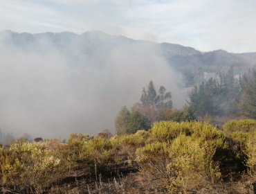 Declaran Alerta Roja para la comuna de Galvarino por incendio forestal cercano a sectores habitados