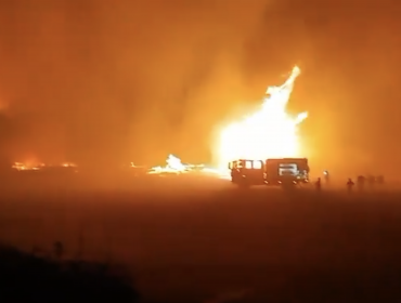 Incendio forestal en Llay Llay consume más de 4 hectáreas de pastizal, eucalipto y plantación de paltos