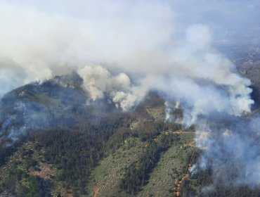 Más de 76 hectáreas ha consumido el incendio forestal al interior de la Reserva Lago Peñuelas