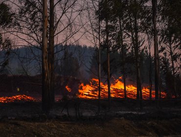 Declaran Alerta Roja en Valparaíso, Viña del Mar y Quilpué por dos incendios forestales activos