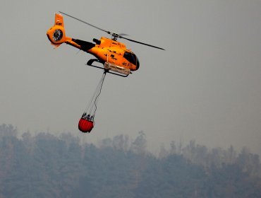 Controlan el incendio forestal en Llay Llay que ha consumido 4 hectáreas de pastizal, eucalipto y plantación de paltos