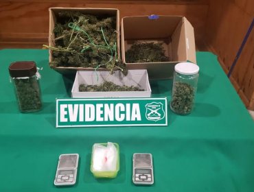 Incautan plantas de cannabis sativa, marihuana a granel y dinero desde un domicilio en Quintero