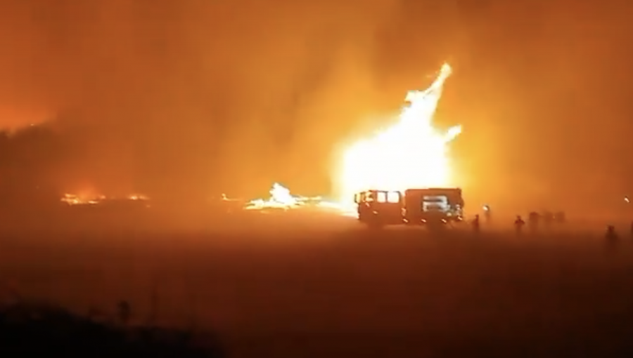 Incendio forestal en Llay Llay consume más de 4 hectáreas de pastizal, eucalipto y plantación de paltos