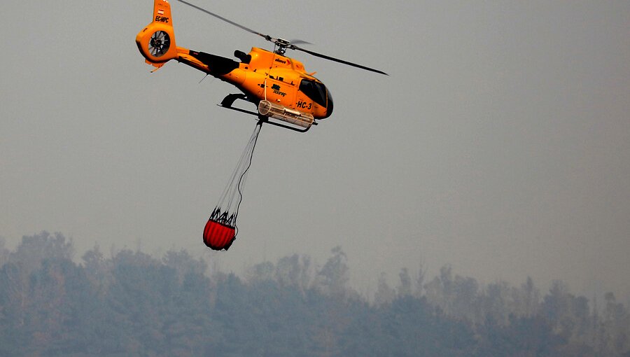 Controlan el incendio forestal en Llay Llay que ha consumido 4 hectáreas de pastizal, eucalipto y plantación de paltos