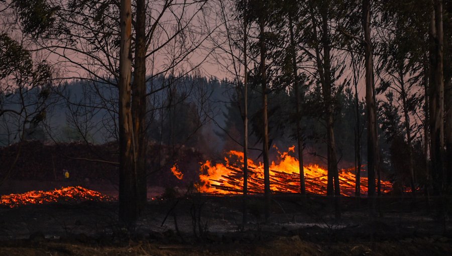 Declaran Alerta Roja en Valparaíso, Viña del Mar y Quilpué por dos incendios forestales activos