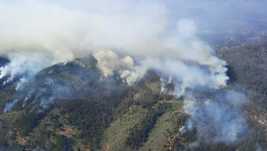 Más de 76 hectáreas ha consumido el incendio forestal al interior de la Reserva Lago Peñuelas