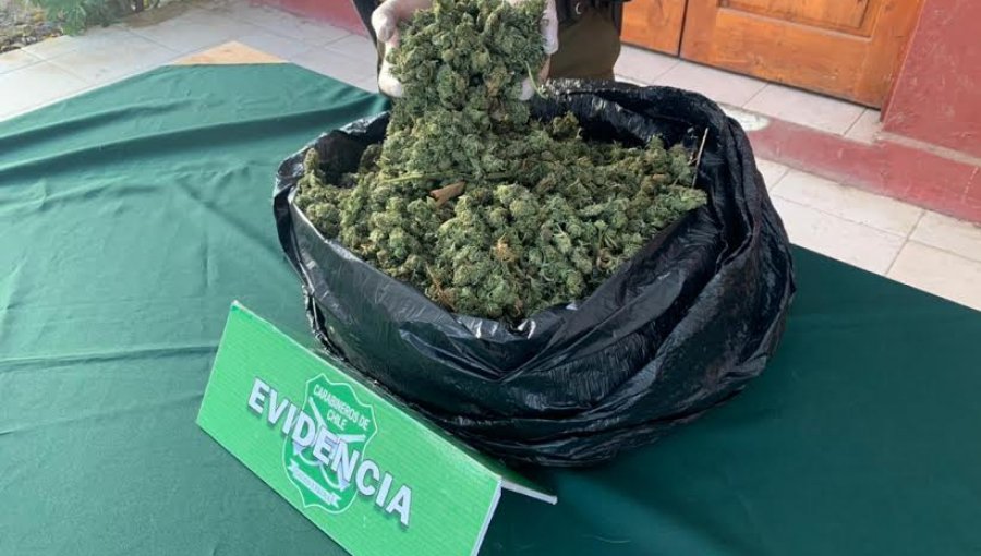 Fuerte olor a marihuana permite decomisar más de 14 kilos en la comuna de La Ligua