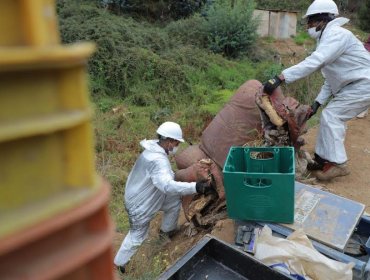 Intensifican trabajos preventivos de cara a la temporada invernal en Valparaíso