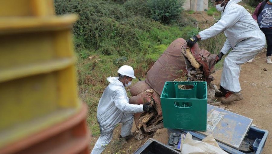 Intensifican trabajos preventivos de cara a la temporada invernal en Valparaíso