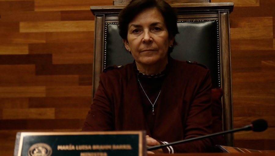 TC rechazó inhabilitar a María Luisa Brahm en discusión del requerimiento del Gobierno por tercer retiro