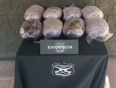 Control preventivo termina con tres detenidos por tráfico de drogas en Papudo