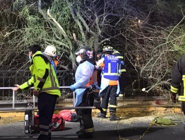 Fatal accidente: Ciclista murió tras impactar con vehículo particular en Providencia