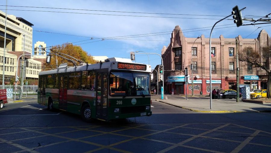 Ministra de Transportes y trolebuses: "Es una muy buena noticia que hayan vuelto a circular por Av. Pedro Montt"