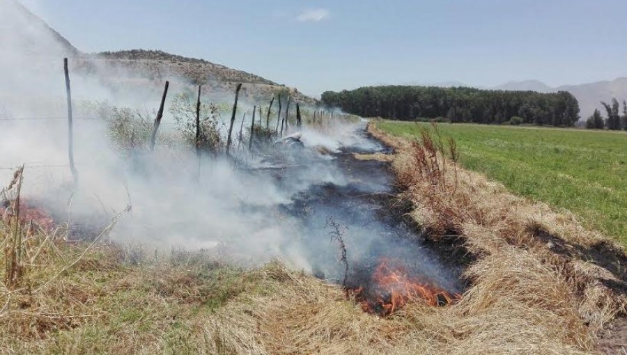 Conaf levanta prohibición de realizar quemas agrícolas en parte de la región de Valparaíso