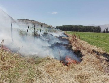 Conaf levanta prohibición de realizar quemas agrícolas en parte de la región de Valparaíso