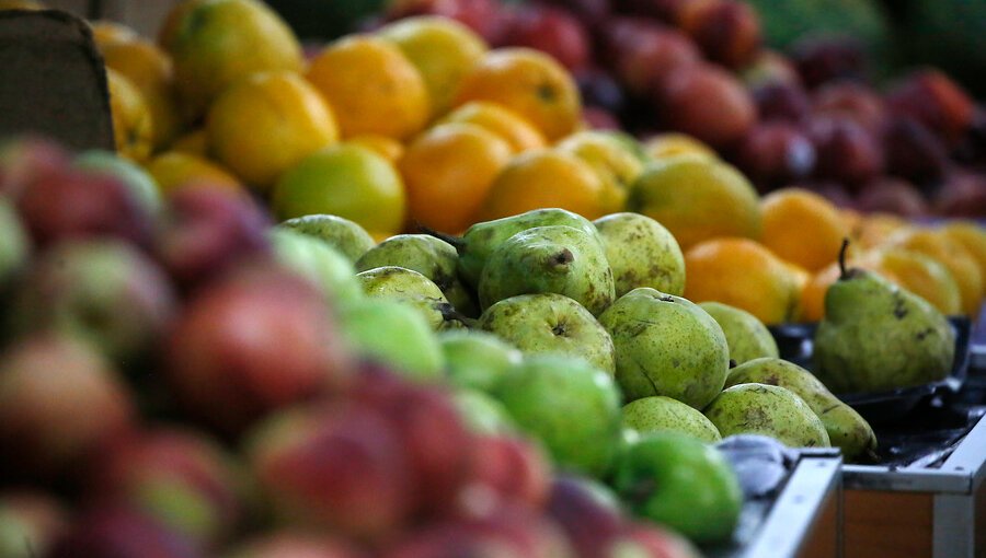 «Pedidos Sanos»: La aplicación que permite comprar en la feria sin pagar costos de envío