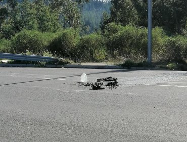 Hombre se quemó a lo bonzo en Concepción: se encuentra en riesgo vital