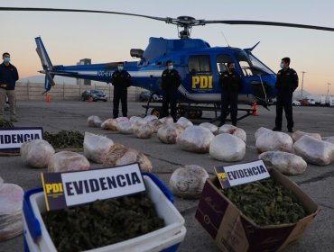 PDI ha incautado más de 15 toneladas y media de droga en el Plan Cannabis 2021