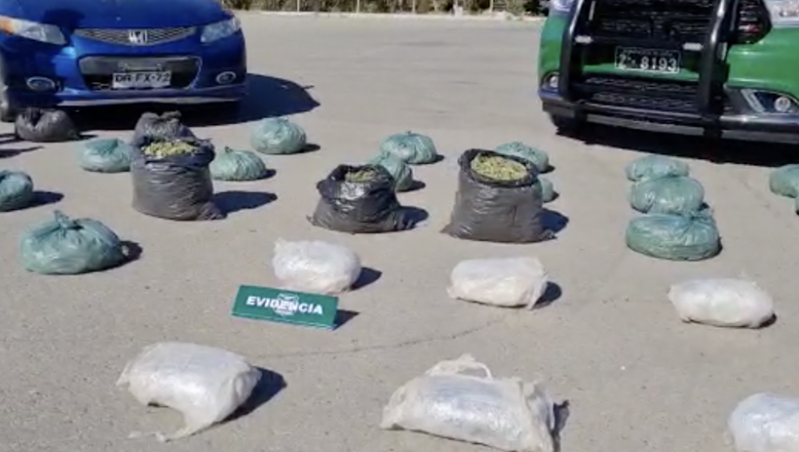 Sorprenden a conductor transportando 57 kilos de marihuana elaborada en carretera de Llay Llay