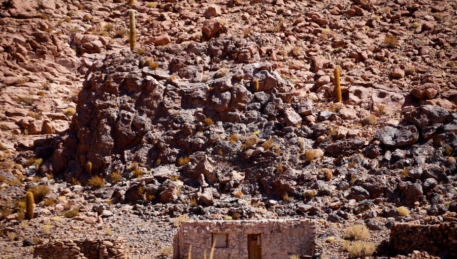 Caso Thiare: Fiscalía de Atacama indaga ropajes que serían de joven desaparecida