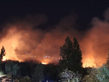 Incendio forestal afecta a la ribera norte del río Aconcagua en Quillota